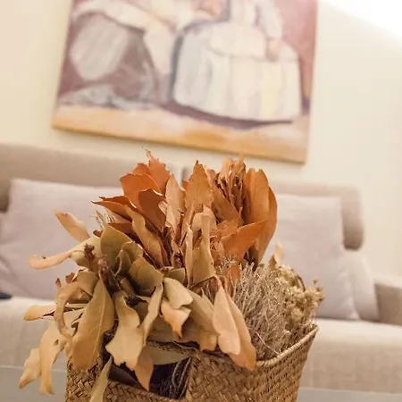 Appartement Bordador